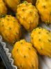 Yellow Dragon Fruit