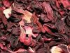 Hibiscus sabdariffa, c...