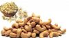 Cashew Nut