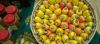 Cashew Nut