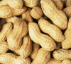 groundnuts