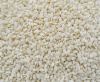 Sesame Seeds