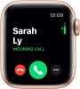 APPLE WATCH SERIES 5 (GPS, 40mm) - Gold Aluminum Case with Pink Sport Band