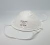 Disposable FFP2 Face Mask