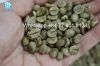 Vietnam Arabica green beans - S16,18 - Grade 1 - Viego Global - Whatsapp +84 77 801 8128