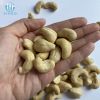 Vietnam cashew nuts - Viego Global - Whatsapp 84 562 646 315