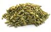 FENNEL SEEDS