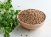 CORIANDER SEEDS 