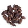 Large cardamom, spice,...