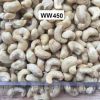 Cashew Nut Kernel - si...