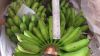 Fresh Banana