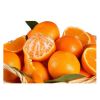 Fresh Oranges 