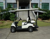 2 passenger cute golf cart with high quality ev conversion kit for car