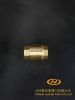 Brass Vertical Check Valve/Foot Valve