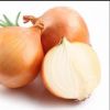 Fresh Onions Fast Shipping high Quality from Turkey