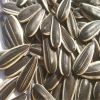  Sunflower Seeds Price Per Ton 