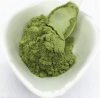 Wholesale Organic Kale Powder 