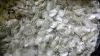 DRIED FISH SCALE FOR C...