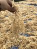 Sea Moss Irish Moss Eu...