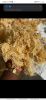 Sea moss