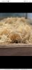 Sea moss