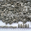 Hulled and Natural Sunflower Seeds Available