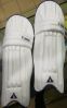 Cricket Batting Pads