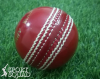 Hand Stitched Leather Cricket Ball