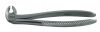 Extraction Forceps - English Pattern with German Grip (SUPERIOR QUALITY)