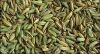 Organic Fennel Seed