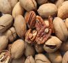 Fresh Pecan Halves,Pecan nuts For Sale