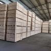 Supplier of paulownia/poplar/pine solid wood lumber