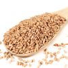 Wheat Grain for Animal Feed And Human Consumption All Grade A for sale