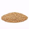 Wheat Grain for Animal Feed And Human Consumption All Grade A for sale