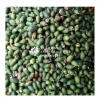 YOUNG BETEL NUT / AREC...