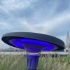 RGB solar garden light 800W-1200W with bluetooth music