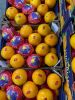 oranges, citrus