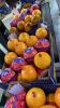 oranges, citrus