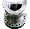Forgings and Flanges