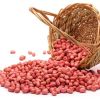 Wholesale Natural Organic Premium Grade Roasted Blanched Peanuts Bulk Peanut Blanched Split Laser Sorting Peanuts Nuts & Kernels