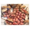 Raw Peanut in Shell Peanuts with Peanut Price and Roasted peanuts Blanched Whole Sale 100% Organic Arachis Peanut ,Dried Kernel