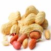 Organic Peanuts Premium Grade Kernels Fresh And Roasted Snack Blanched Peanuts Dried And Roasted Style