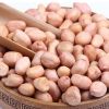 Wholesale Natural Organic Premium Grade Roasted Blanched Peanuts Bulk Peanut Blanched Split Laser Sorting Peanuts Nuts & Kernels