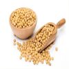 High Quality Soybean / Soya Bean for Sale Sprouting Yellow Soybean NON GMO Packaged Organic Dried High Protein