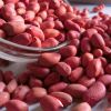 Red Peanut, blanched Peanut Kernels, Bold PeanutsBlanched Peanuts Java Peanuts/ Raw Peanuts Kernel / Raw Peanut in Shell