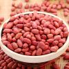 Red Peanut, blanched Peanut Kernels, Bold PeanutsBlanched Peanuts Java Peanuts/ Raw Peanuts Kernel / Raw Peanut in Shell