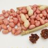 Red Peanut, blanched Peanut Kernels, Bold PeanutsBlanched Peanuts Java Peanuts/ Raw Peanuts Kernel / Raw Peanut in Shell