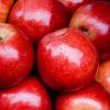 2025 Bulk Apples Whole Sale Fresh Red Fuji Apples Specification Wholesale Fresh Red Fuji Apple Fruit
