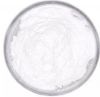 Adipic Acid for sale Ã¢ï¿½ï¿½ perfect for producing polyurethane foams and industrial chemicalsAdipic Acid for sale Ã¢ï¿½ï¿½ perfect for producing polyuret