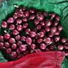 Fresh High Quality 10Kg/20Kg Mesh Bag Red Peeled Onions in Bulk Fresh Onions